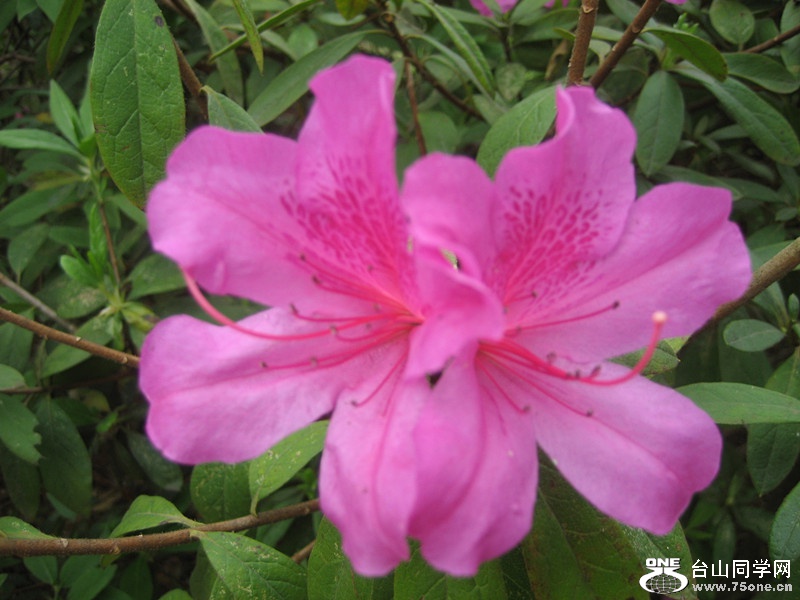 2015 056_.jpg