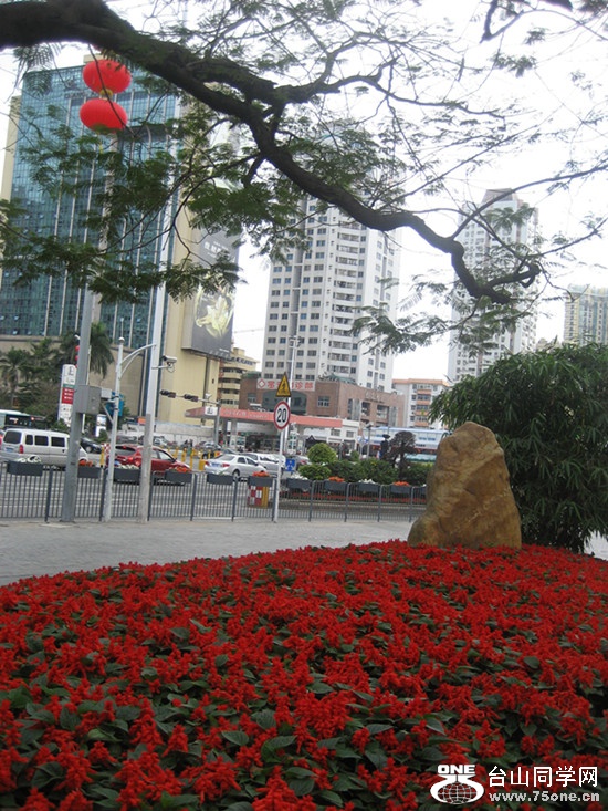 2015 047_.jpg