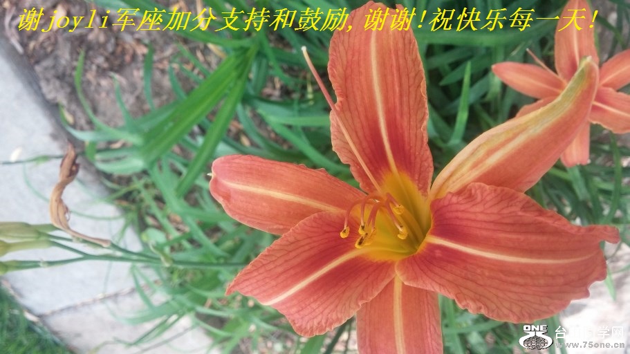 лjoyliӷֺ֧͹,лл!ףÿһ!.jpg