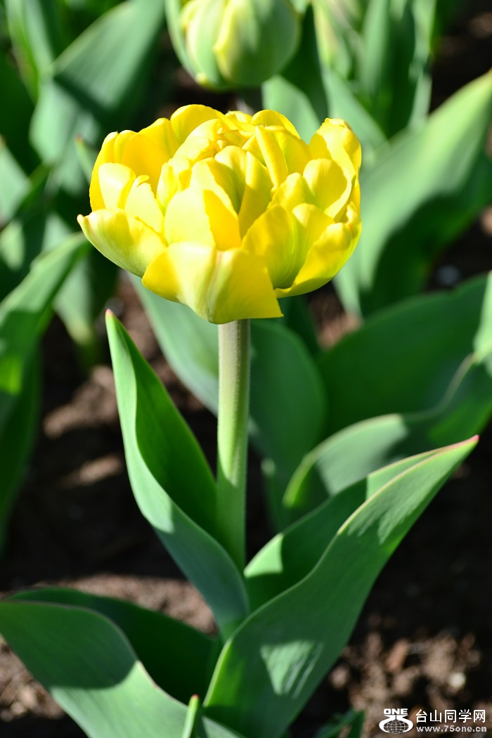 DSC_0041.JPG