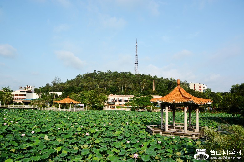 DSC_7360_conew1.jpg