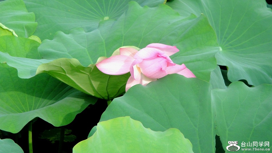 DSC02171_.jpg