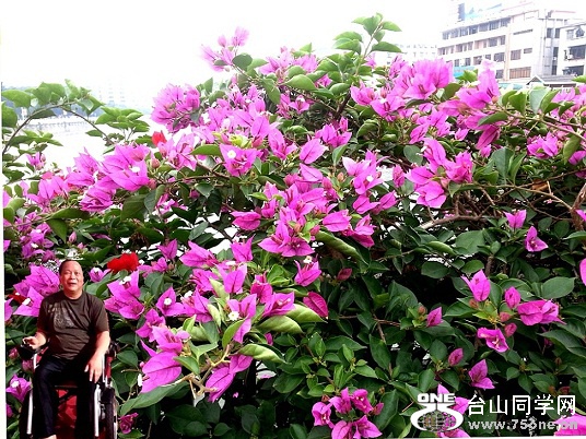 20150502_191930_LLS__.jpg