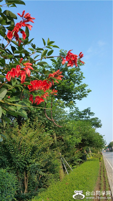 20150529_071759.jpg
