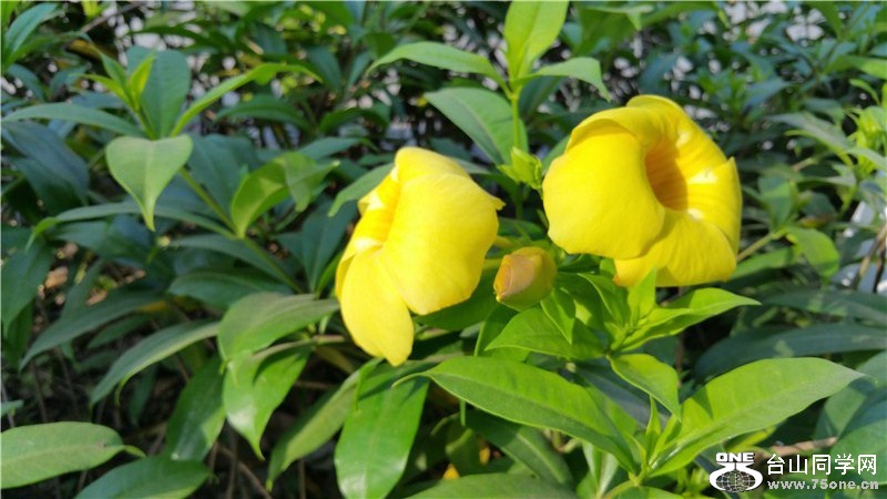 20150529_072728.jpg
