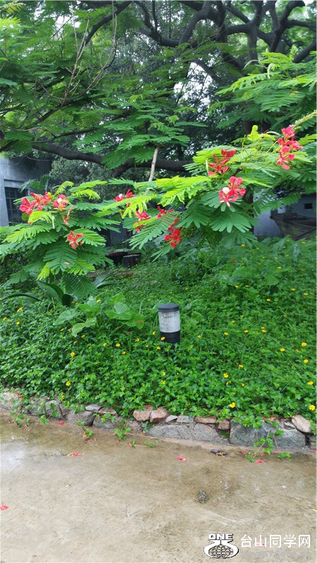 20150524_100323.jpg