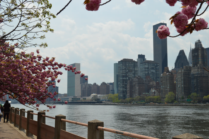 DSC_0956.jpg