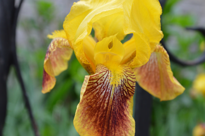 DSC_1062.JPG