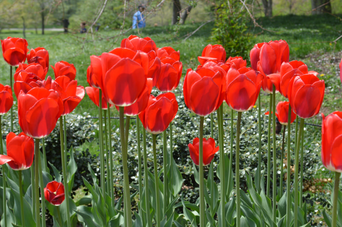 DSC_0928.jpg
