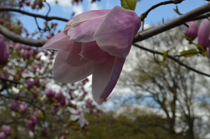 DSC_0573.jpg