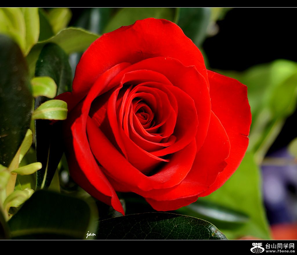 DSC03988 (2)_����.jpg