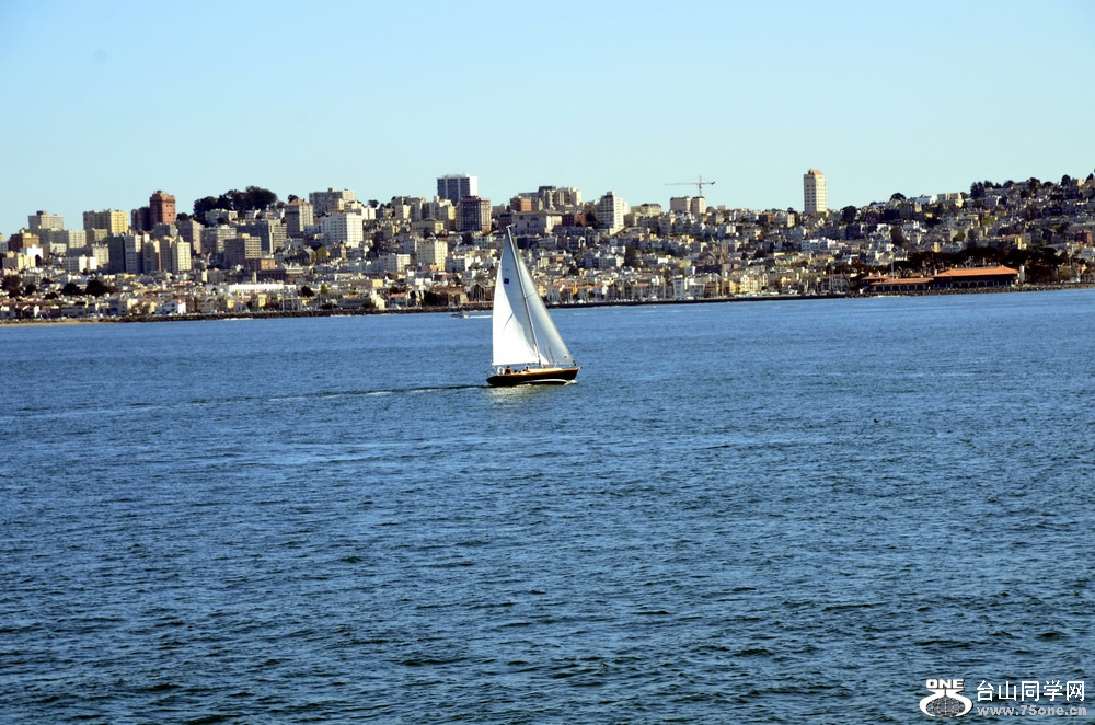 _DSC4649.jpg