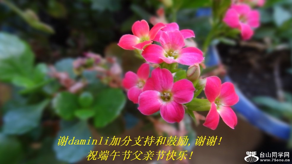 лdaminliӷֺ֧͹,лл!ףڸ׽ڿ!.jpg