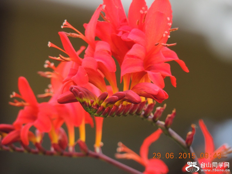 mix 2015 076_.jpg