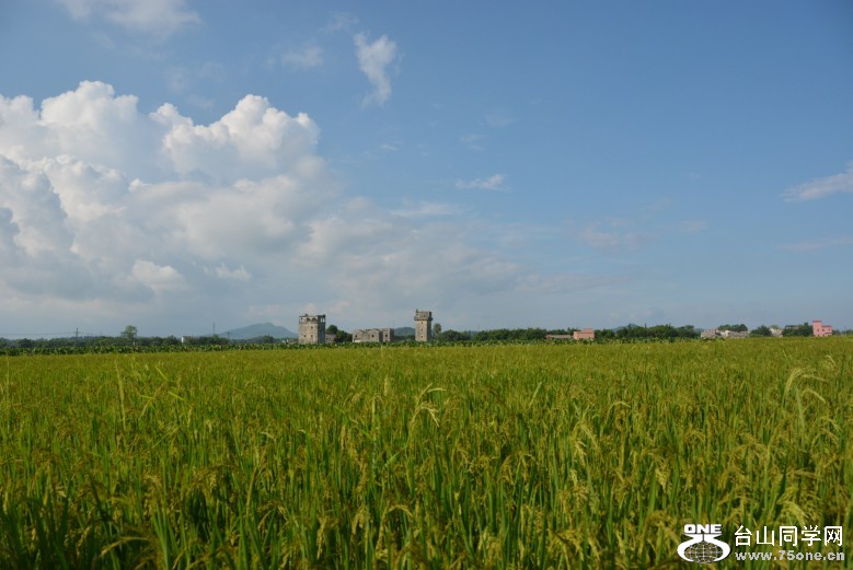 DSC_7869_conew1.jpg