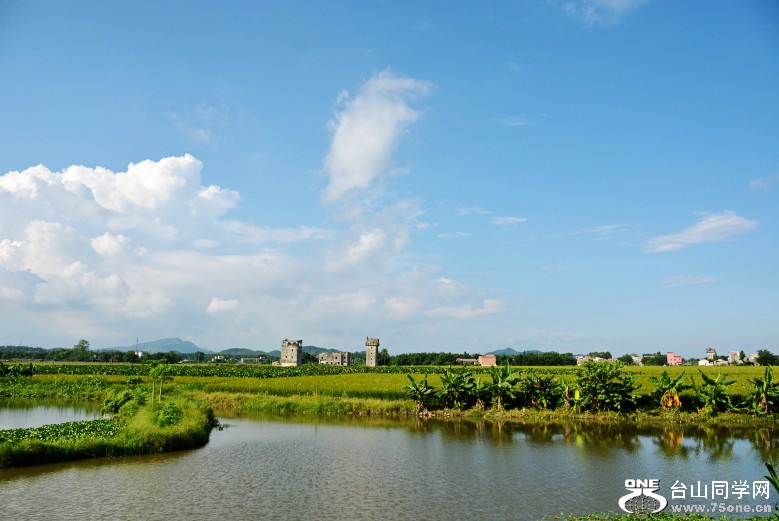 DSC_7864_conew1.jpg