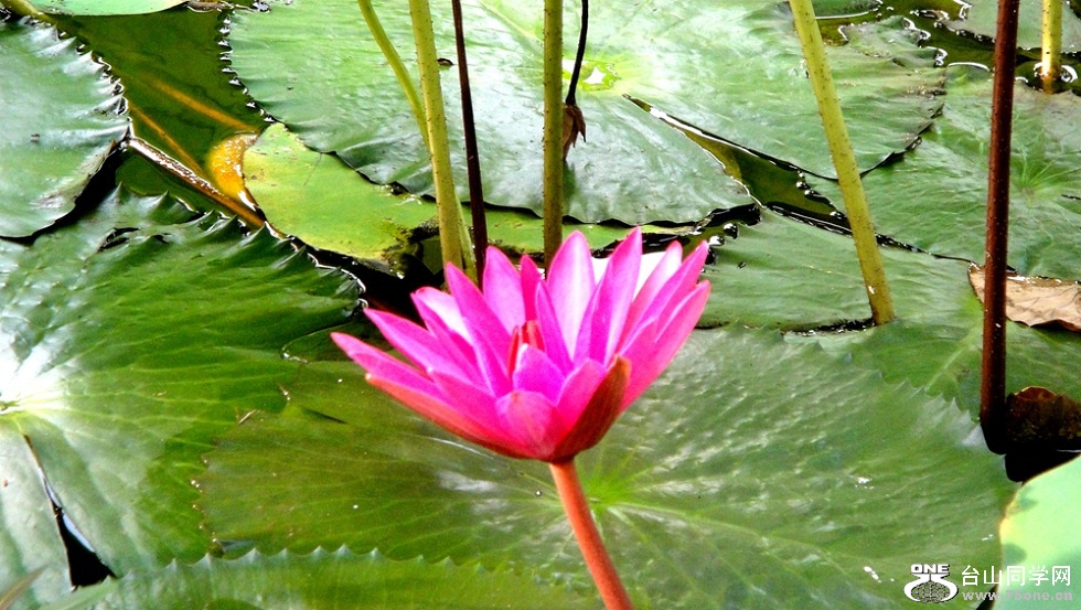 DSC02299__.jpg