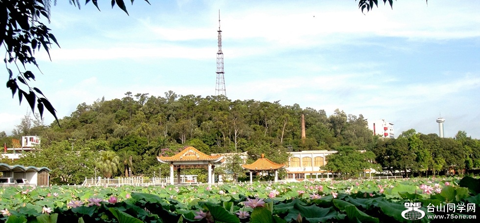DSC02272_conew1_.jpg