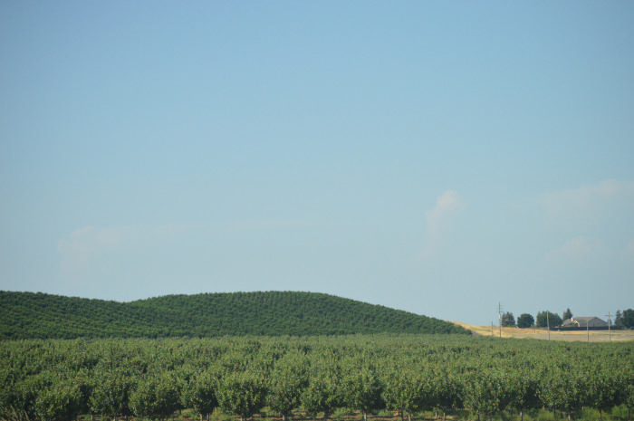 DSC_0656.jpg