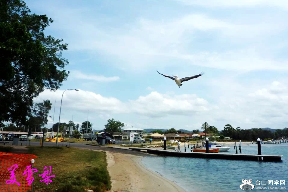 DSC_6257_conew1.jpg