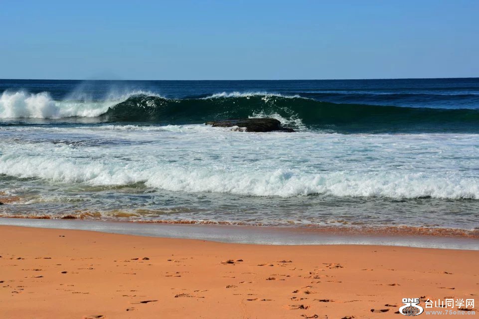 DSC_4220.jpg