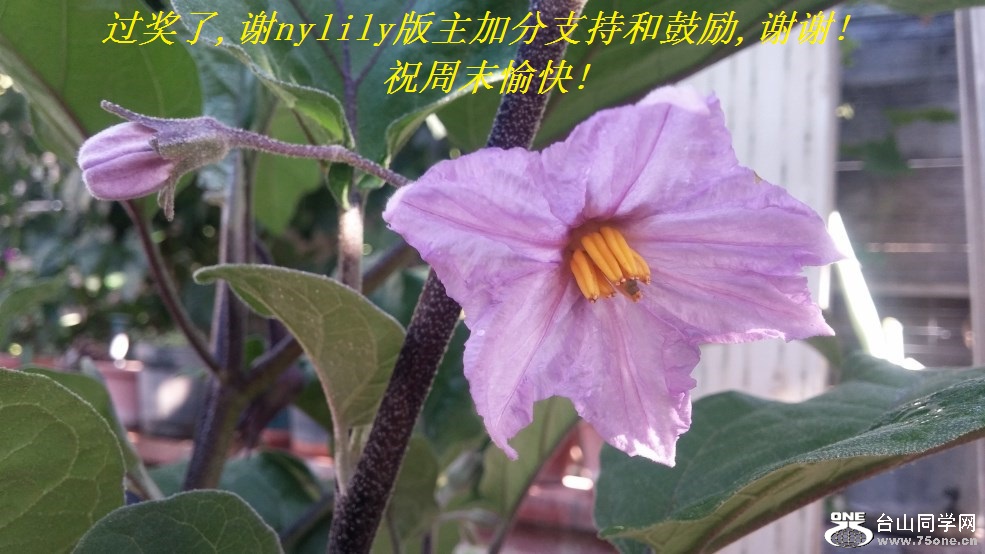 ,лnylilyӷֺ֧͹,лл!ףĩ!.jpg