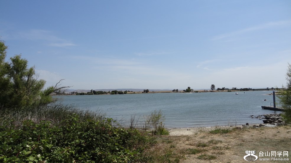 DSC07485.jpg