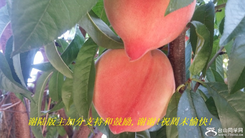 л½ӷֺ֧͹,лл!ףĩ!.jpg