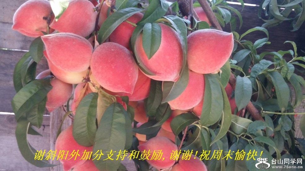 лбӷֺ֧͹,лл!ףĩ!.jpg