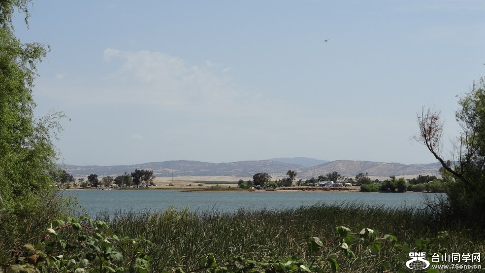 DSC07487.jpg