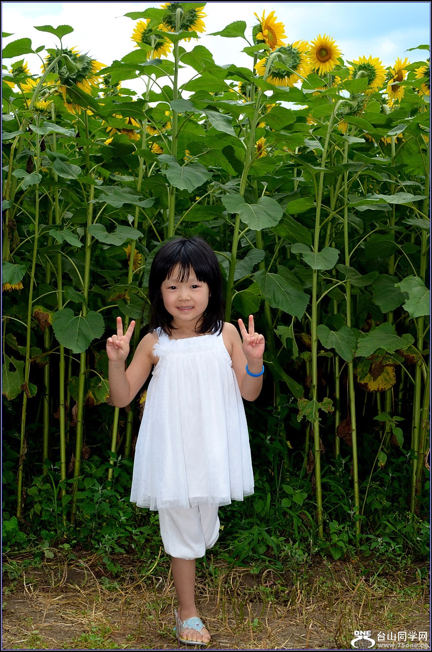 DSC_9894.jpg