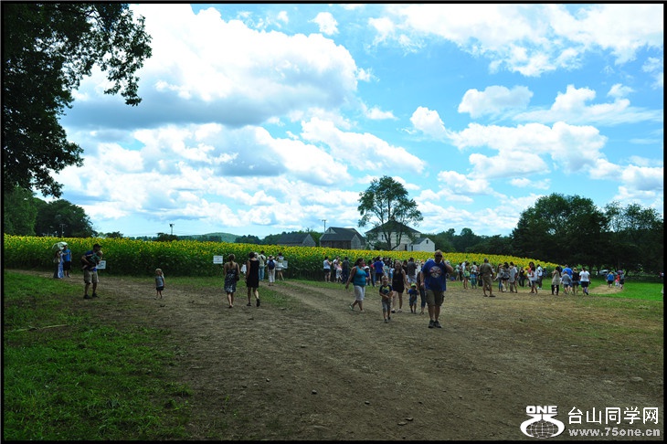 DSC_0549.jpg