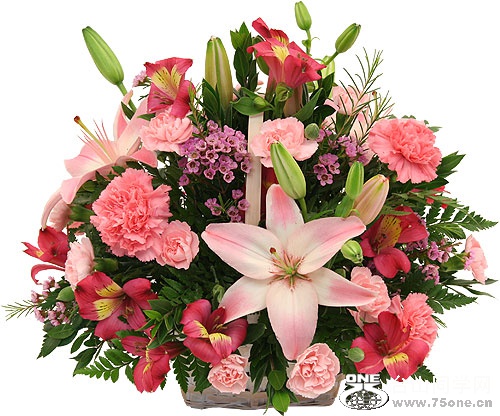 pink-flowers-in-a-basket.jpg