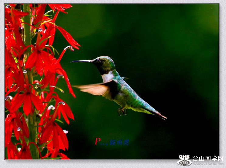 7-28-15-���B 211-3.jpg