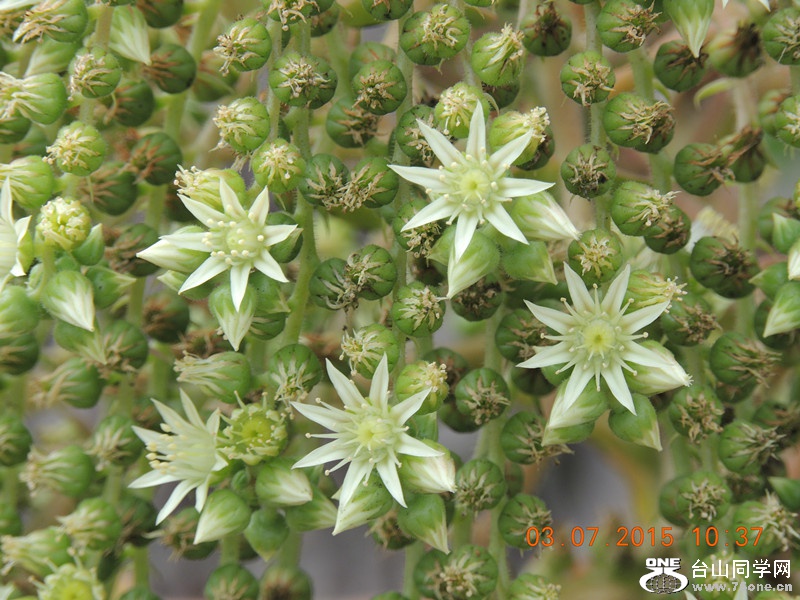 mix2015 104_����.jpg