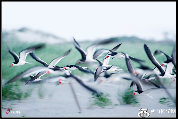 ��Ÿ����