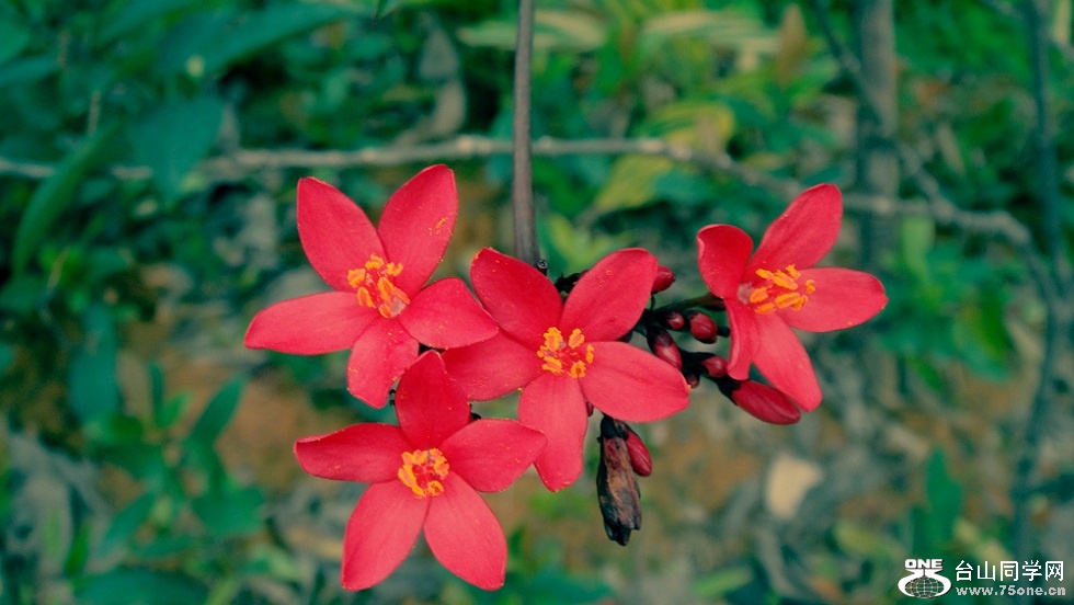 DSC01363_.jpg