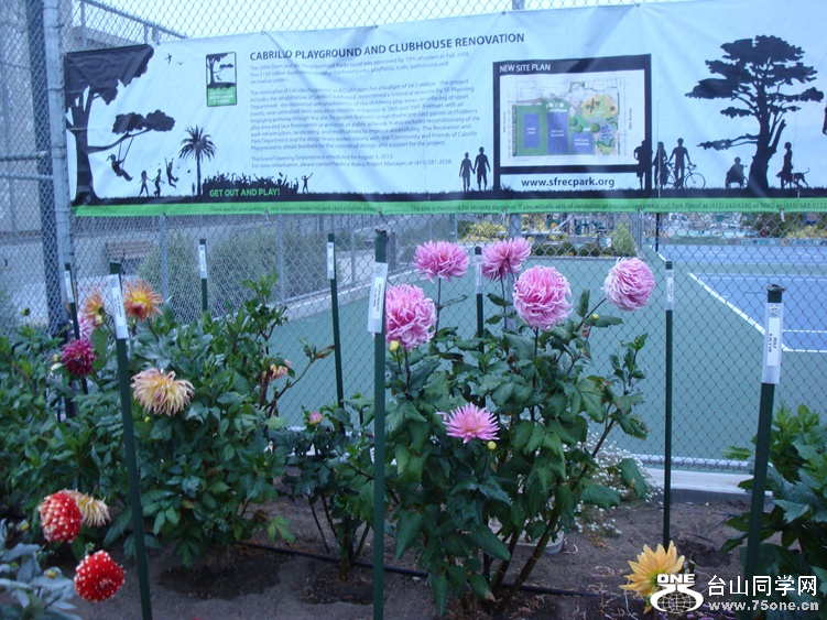 DSC04378_.jpg