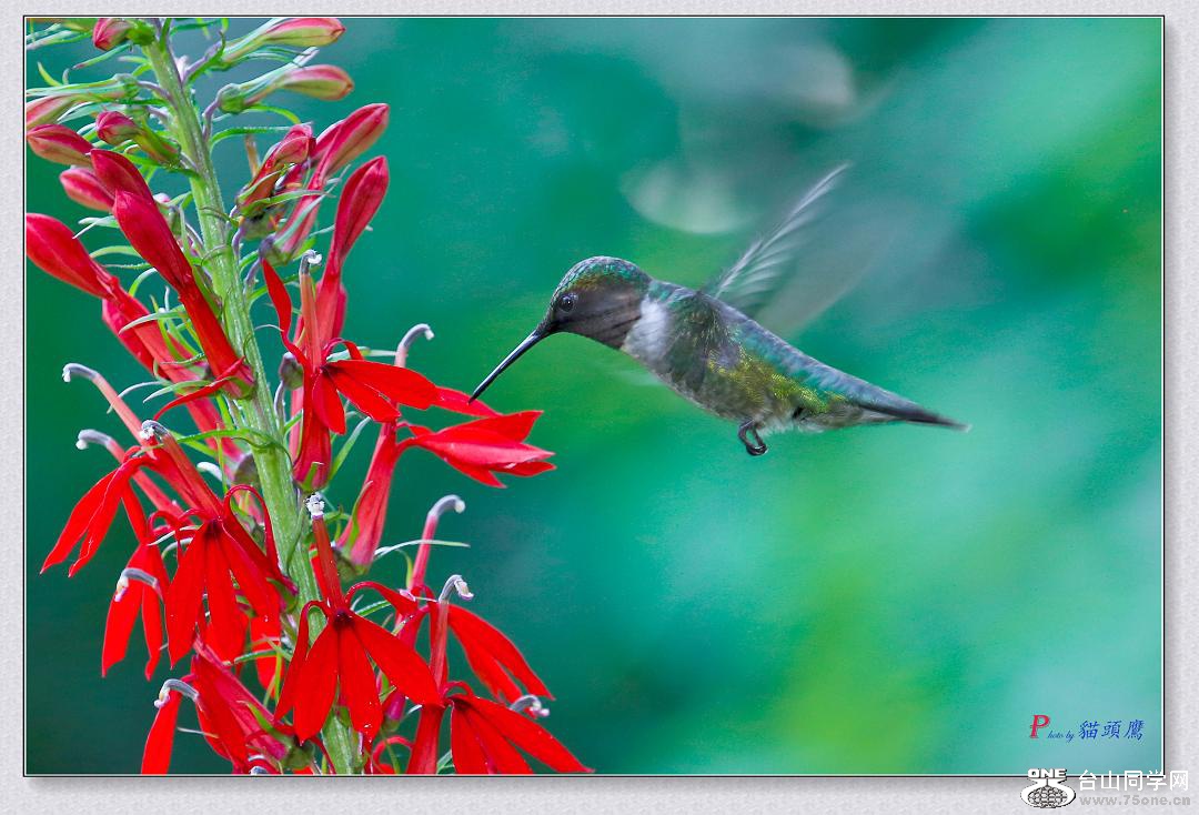 �}�u -7-31-15-���B 268-4.jpg