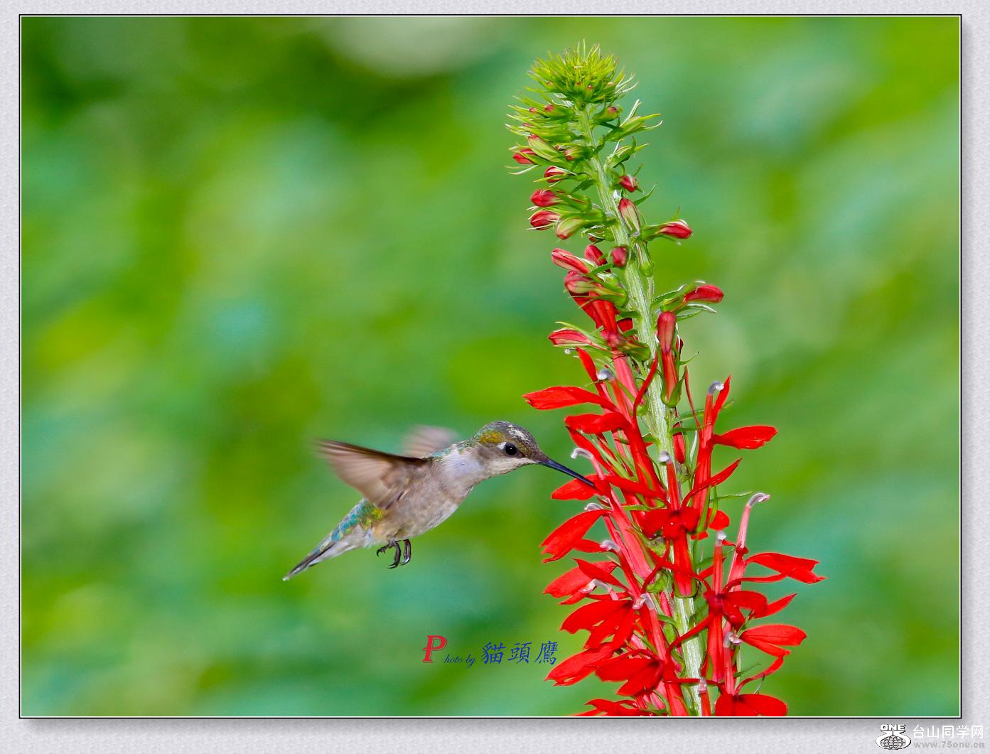 �}�u -8-1-15-���B 077-2.jpg