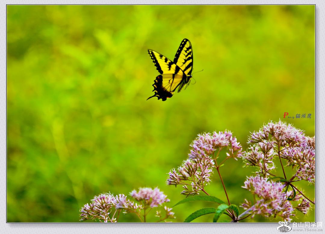 �}�u -8-2-15-���B 212-2.jpg