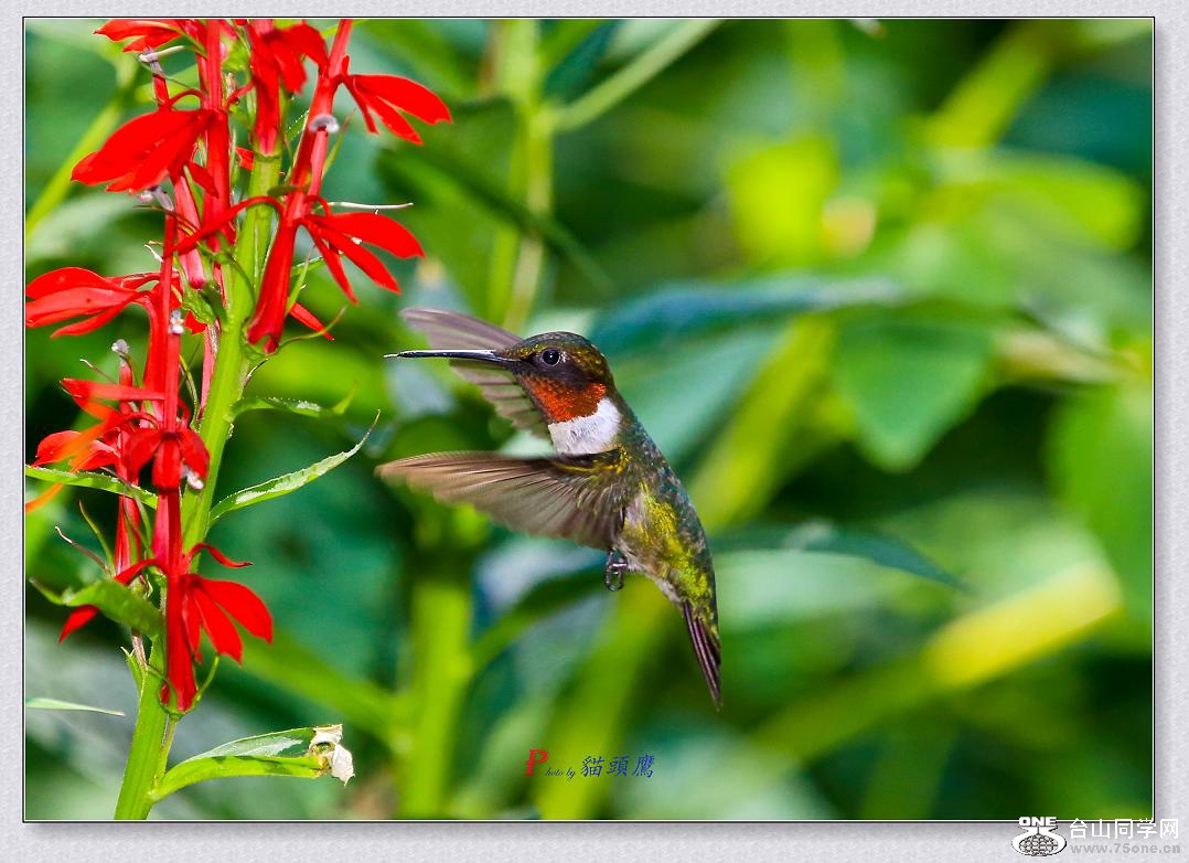 �}�u -8-2-15-���B 062-3.jpg