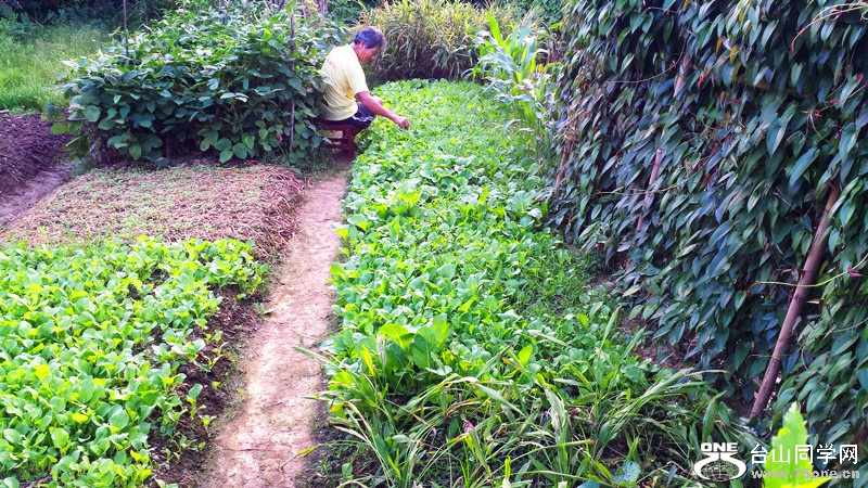 20150918_174900.jpg
