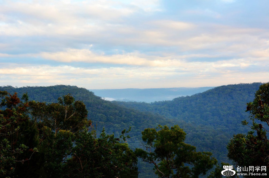 DSC_6323.jpg