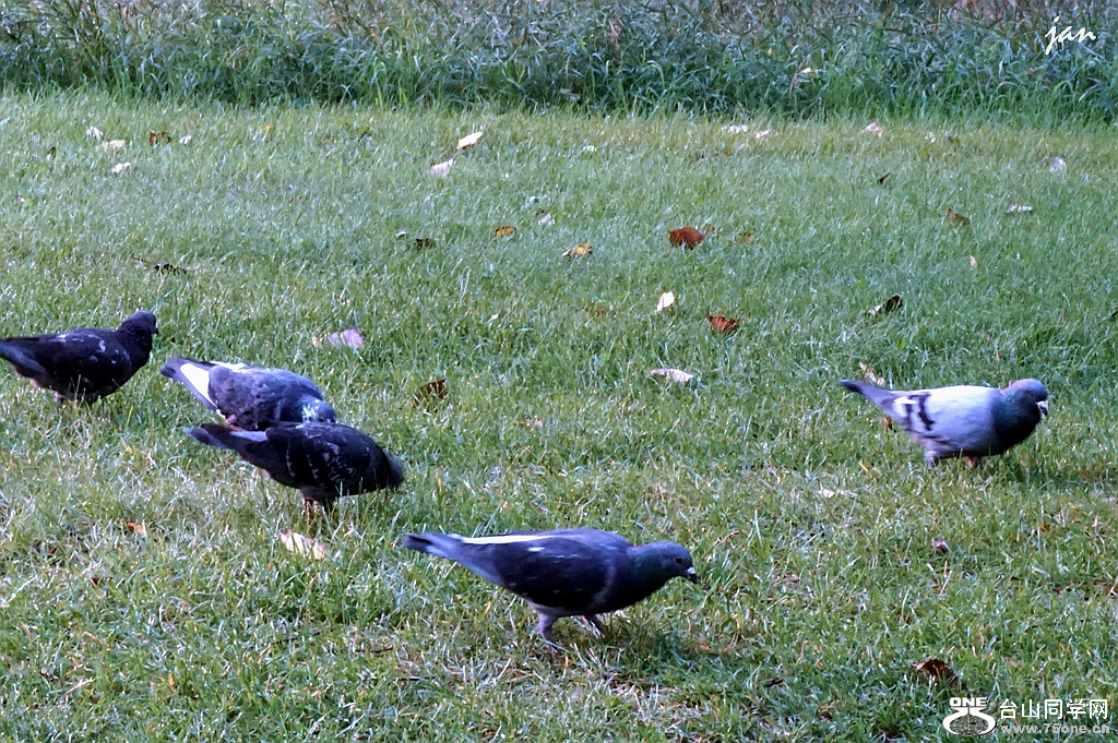 DSC09328.JPG
