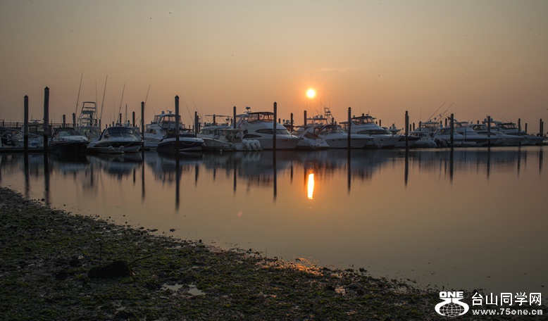 DSC_6535.jpg