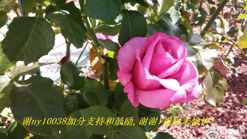 лny10038ӷֺ֧͹,лл!ףĩ!.jpg