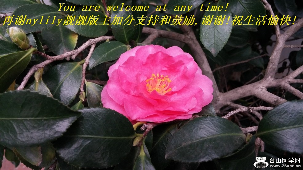 You are welcome at any time!лnylilyӷֺ֧͹,лл!ף!.jpg