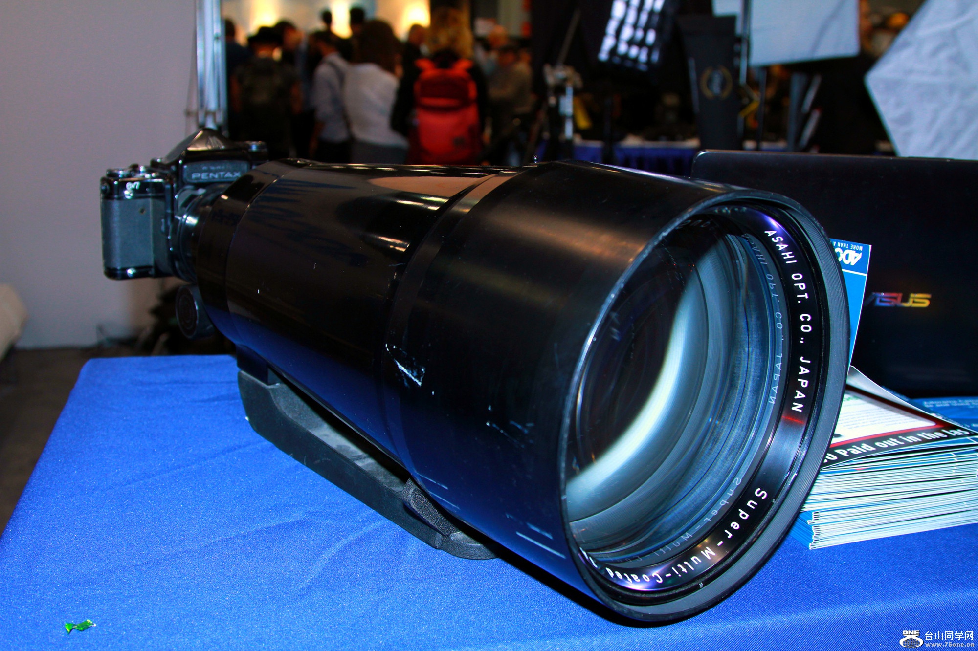 IMGL8881.jpg