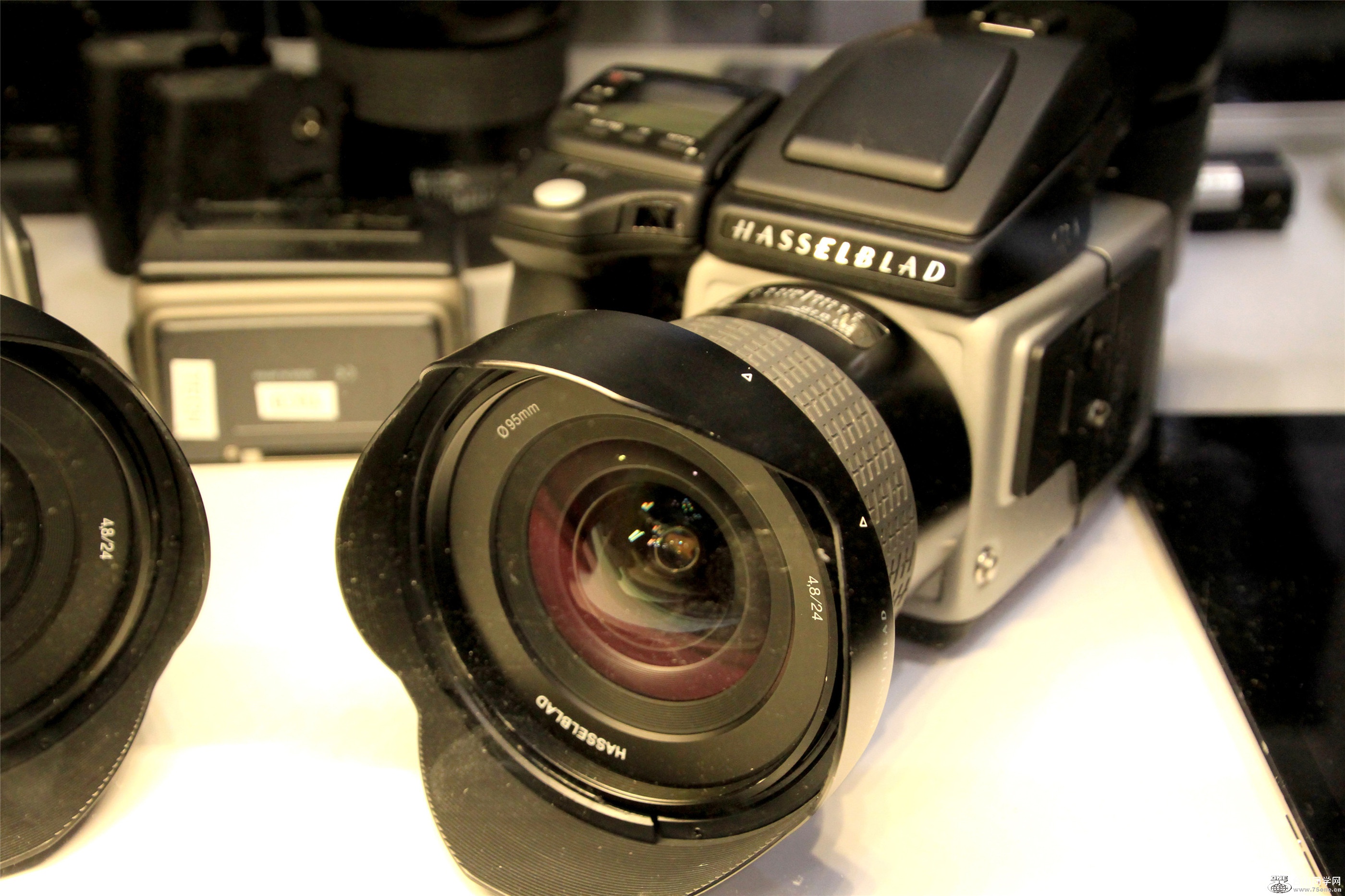 IMGL9321.jpg